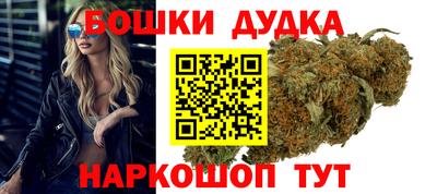 МДПВ Будённовск