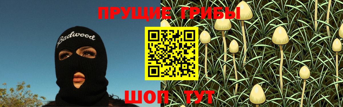 Галлюциногенные грибы Psilocybine cubensis  Вход с VPN  Красноуфимск 