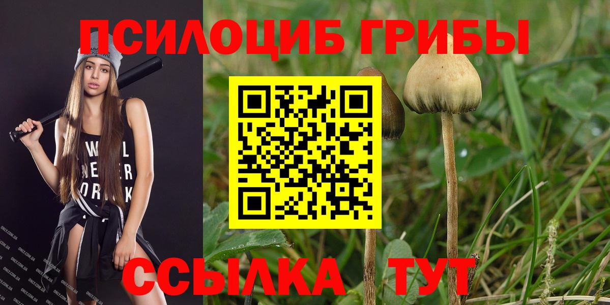 Псилоцибиновые грибы GOLDEN TEACHER Красноуфимск